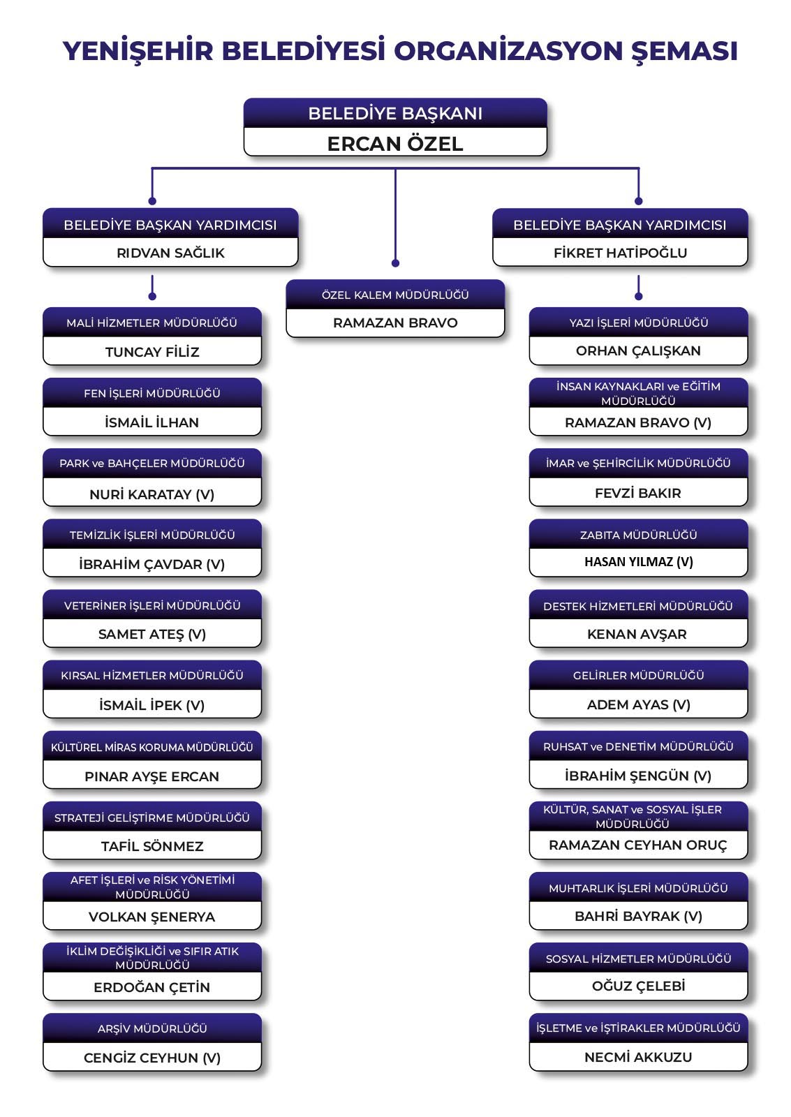 Organizasyon Şeması